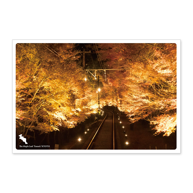 日本の絶景ポストカード 秋 もみじのトンネル 京都 いろはショップオンライン