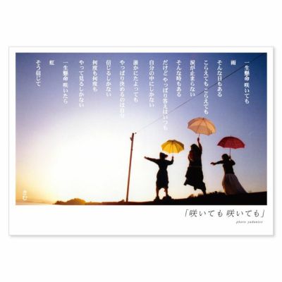 詩人きむ 言葉の応援ポストカード 「咲いても咲いても」
