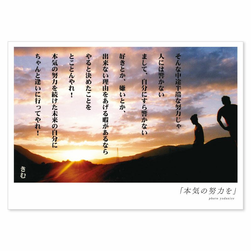 詩人きむ 言葉の応援ポストカード 本気の努力を いろはショップオンライン 詩人きむ 言葉の応援ポストカード 本気の努力を いろはショップオンライン