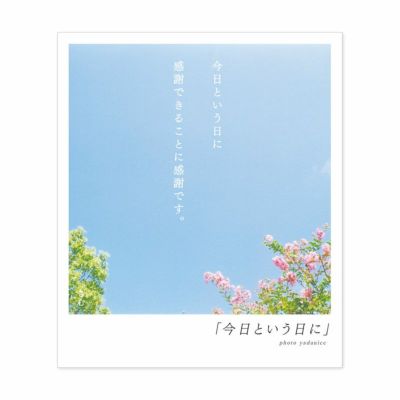 詩人きむ 言葉の応援ポストカード 愛って力になる いろはショップオンライン 詩人きむ 言葉の応援ポストカード 愛って力になる いろはショップオンライン