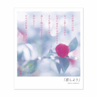 詩人きむ 言葉の花束ポストカード 「恋しよう」