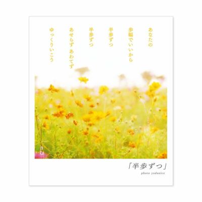 きむ ポストカード4枚セット 楽天市場】【8/25☆RｶｰﾄﾞでP10倍】詩人きむ 言葉の応援ポスト