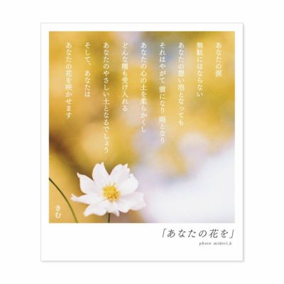 詩人きむ 言葉の応援ポストカード 踏ん張ること いろはショップオンライン 詩人きむ 言葉の応援ポストカード 踏ん張ること いろはショップオンライン