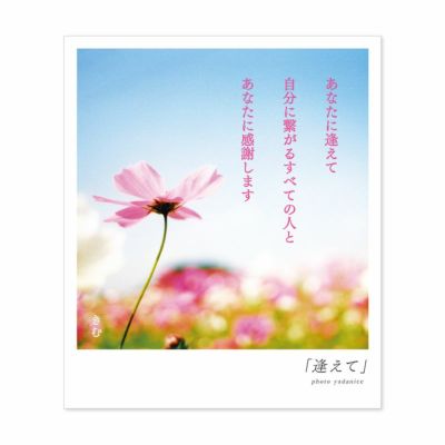 詩人きむ 言葉の花束ポストカード 感謝 いろはショップオンライン 詩人きむ 言葉の花束ポストカード 感謝 いろはショップオンライン