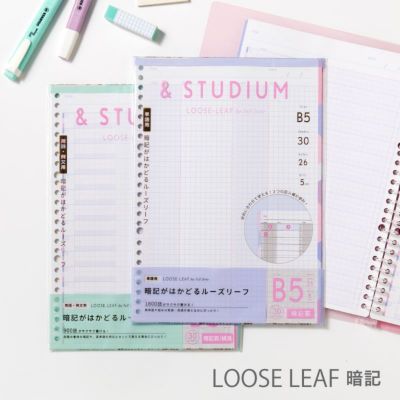 &STUDIUM ルーズリーフ 暗記フォーマット ＜B5＞