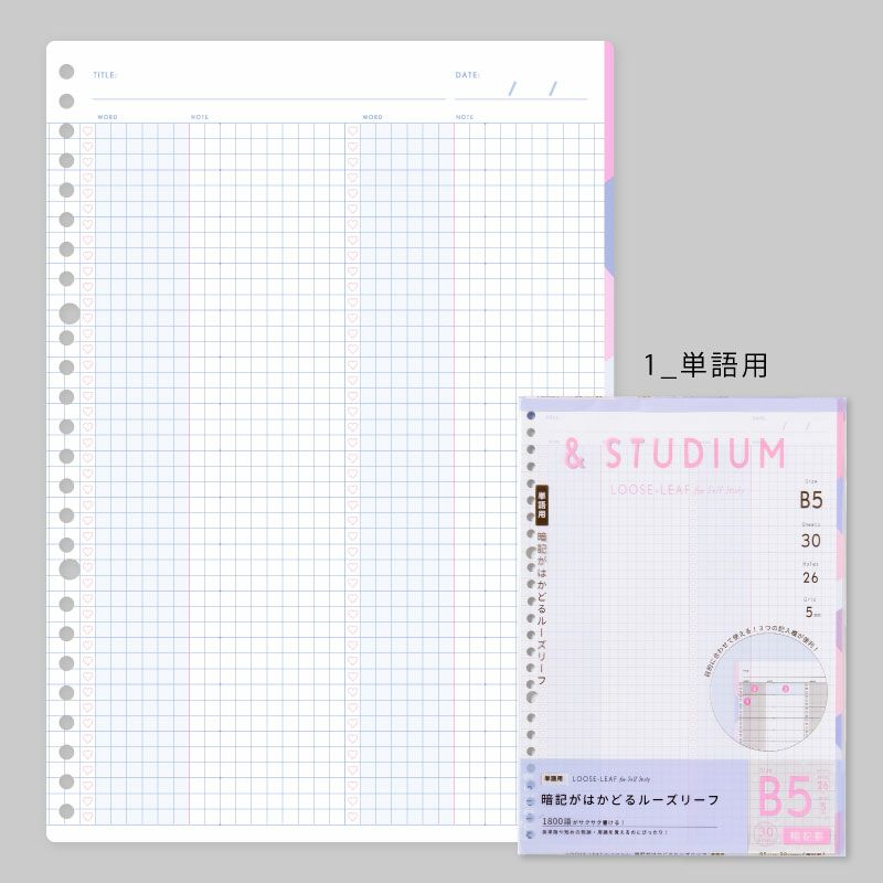 Studium ルーズリーフ 暗記フォーマット B5 いろはショップオンライン Studium ルーズリーフ 暗記フォーマット B5 いろはショップオンライン