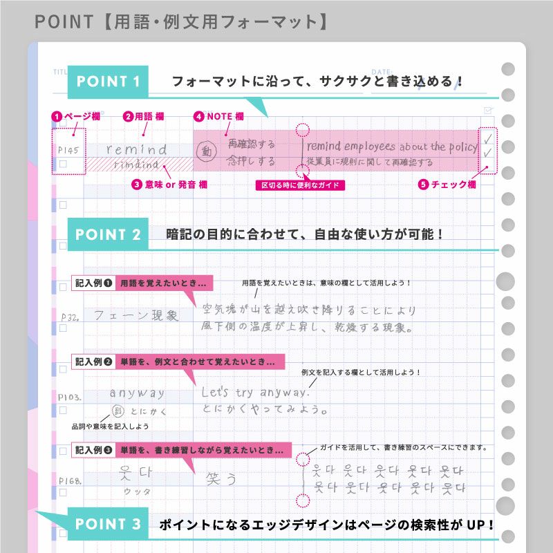 &STUDIUM ルーズリーフ 暗記フォーマット ＜B5＞ | いろはショップ