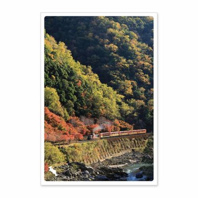 日本の絶景ポストカード ～秋～ 嵯峨野トロッコ列車/京都府