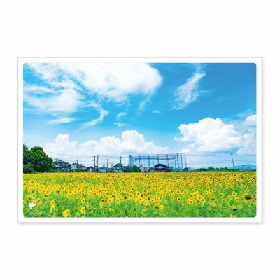 日本の絶景ポストカード ～夏～ 佐賀市ひょうたん公園/佐賀県