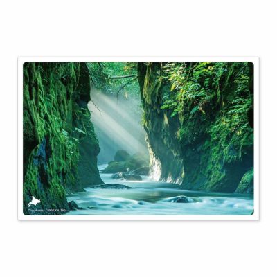 000000000360-01-m.jpg?t=