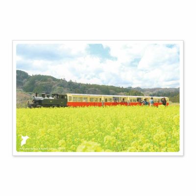 日本の絶景ポストカード ～春～ 小湊鉄道と菜の花/千葉