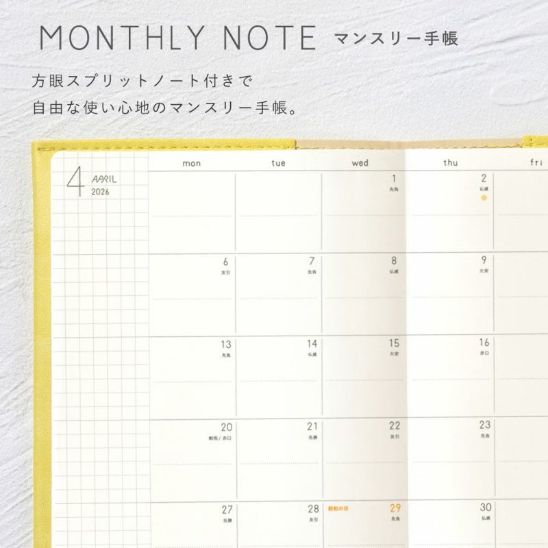 SUNNY_SB_M_202601_LSM