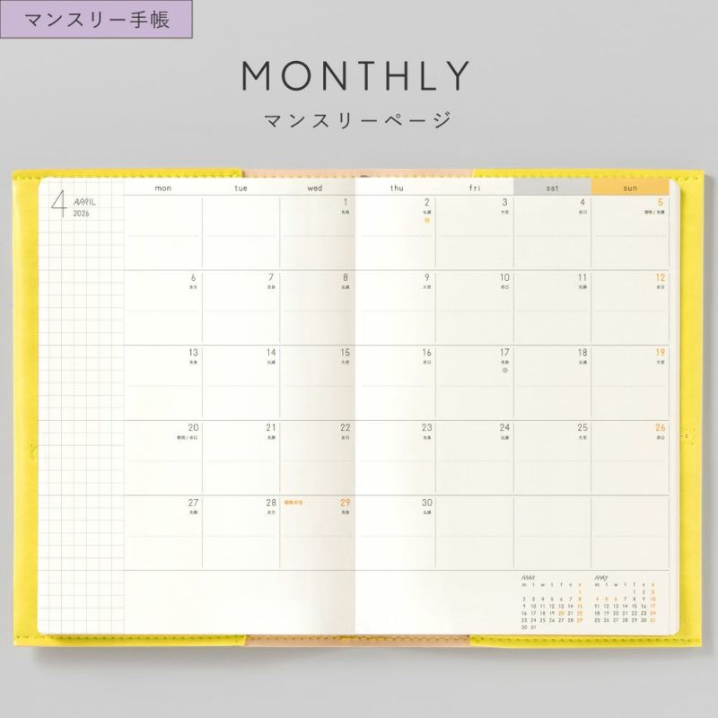 SUNNY_SB_M_202601_LSM