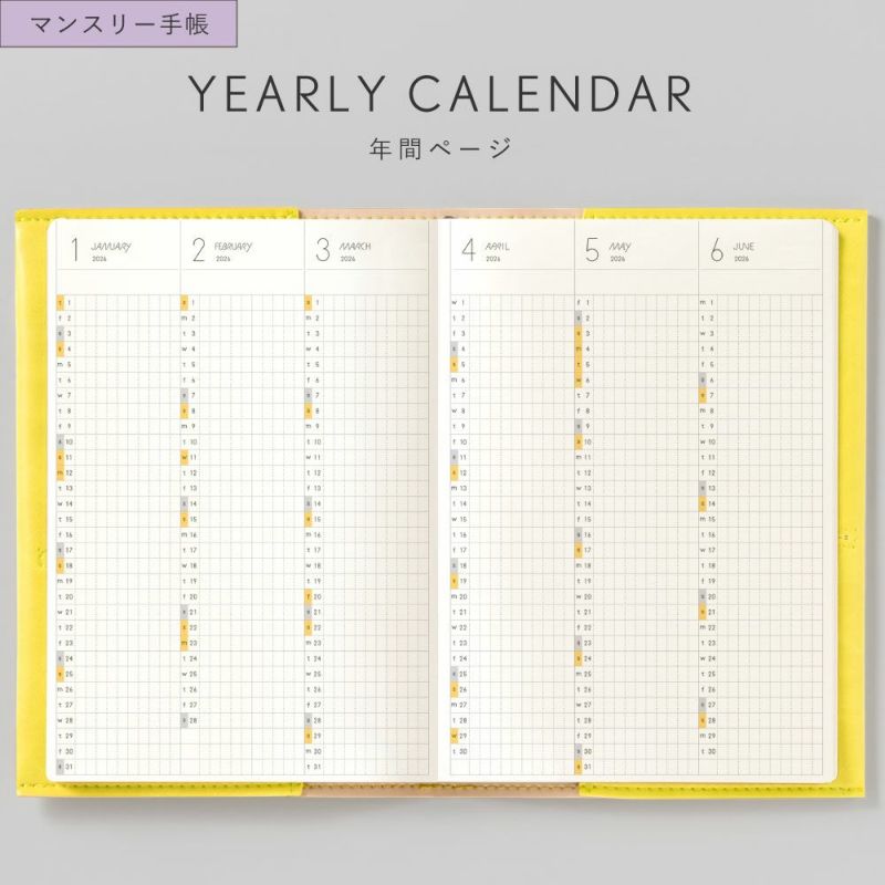 SUNNY_SB_M_202601_LSM