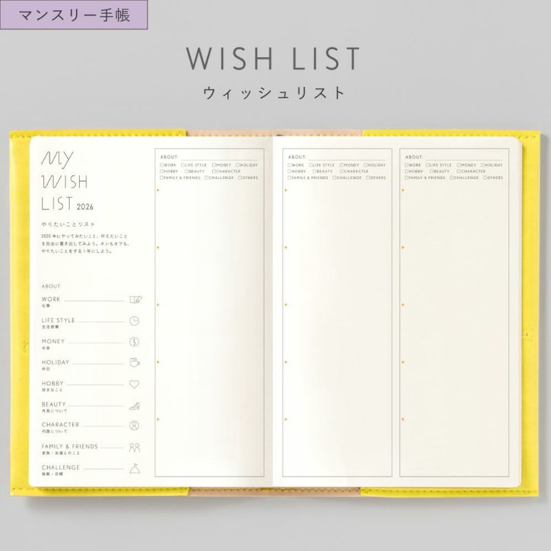 SUNNY_SB_M_202601_LSM