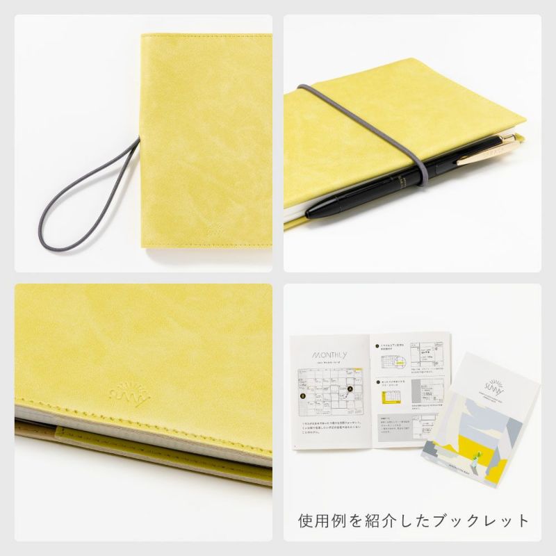 SUNNY_SB_M_202601_LSM