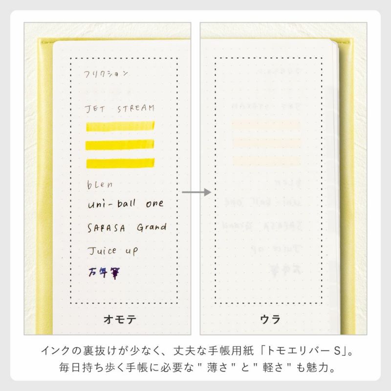 SUNNY_SB_M_202601_LSM