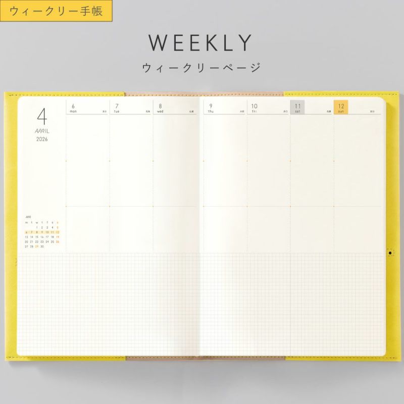 SUNNY_SB_W_202601_LS