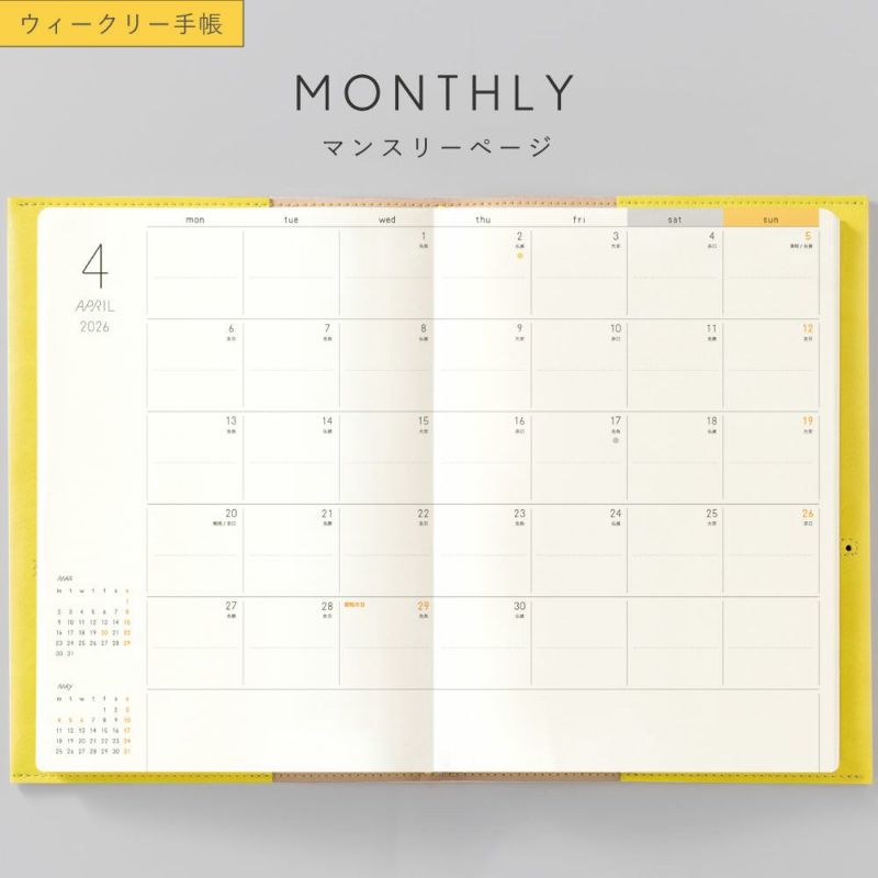 SUNNY_SB_W_202601_LS