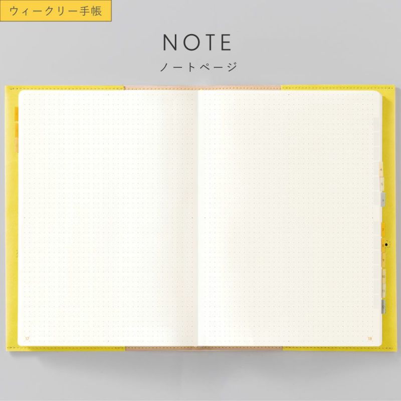 SUNNY_SB_W_202601_LS