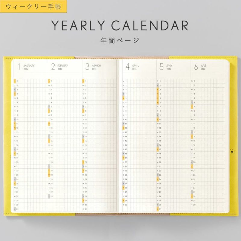 SUNNY_SB_W_202601_LS