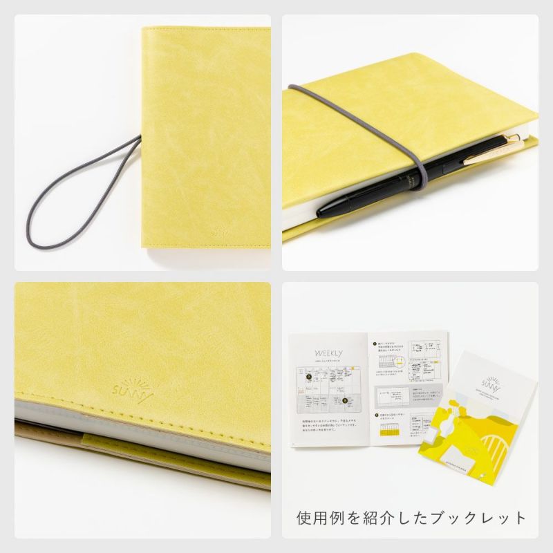 SUNNY_SB_W_202601_LS