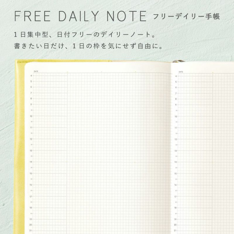 SUNNY_SB_D_202601_LSD