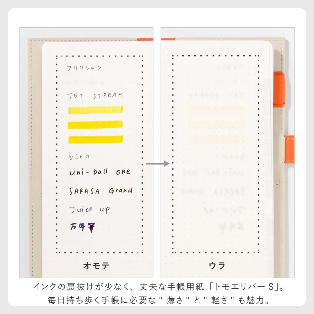 SUNNY_SB_W_202601_trad_LST