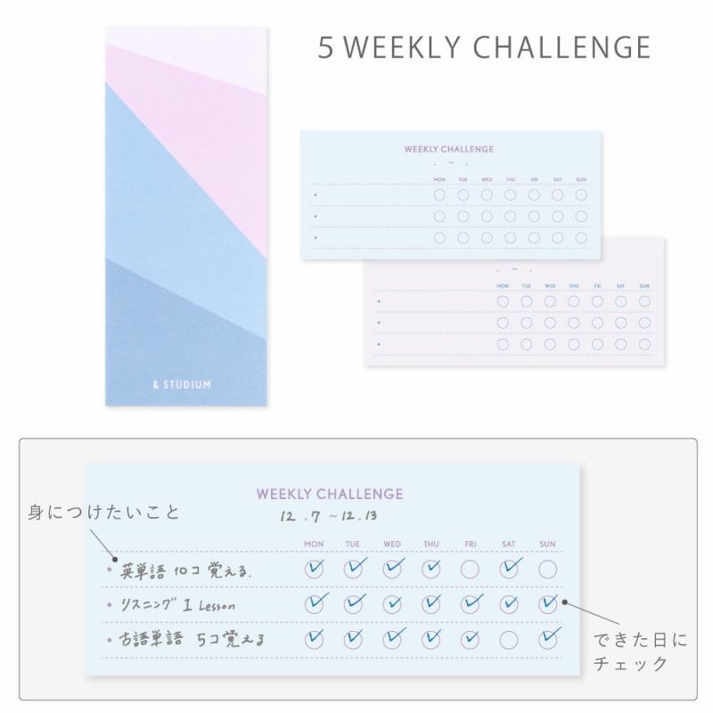 STUDY_MANAGEMENT_CARD_GSM-01ﾏﾝｽﾘｰｽｹ