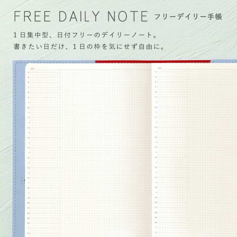 EC限ｻﾆｰSBD_2601_trad_L-LSDT