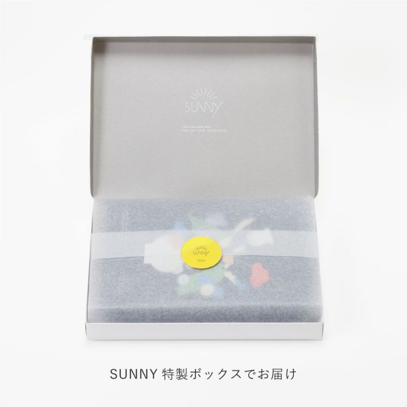 SUNNYSBｺﾚｸｼｮﾝｶﾊﾞｰL-LSCC-01ｻﾝﾗｲﾄﾋﾞｭｰ