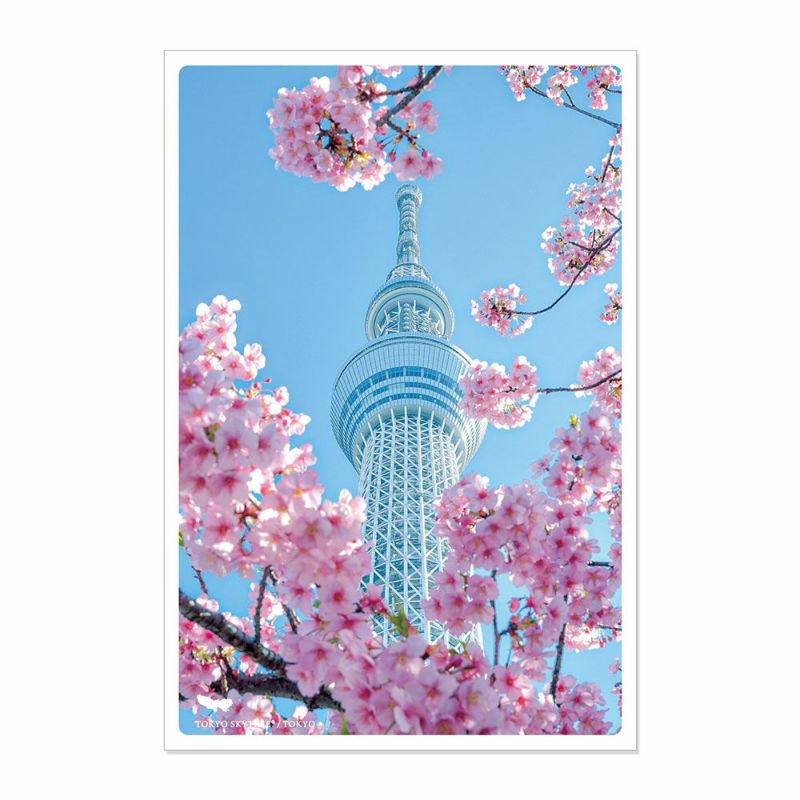 日本の絶景ポストカード ～春～ 東京スカイツリー/東京 | いろは 