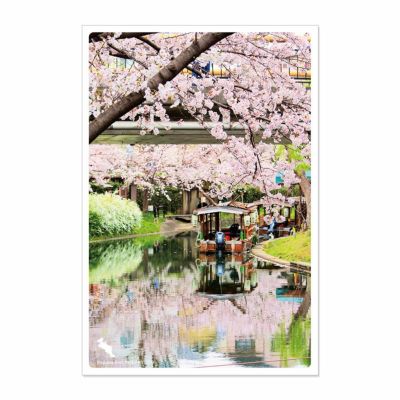 日本の絶景ポストカード ～春～ 京都府立伏見港公園/京都