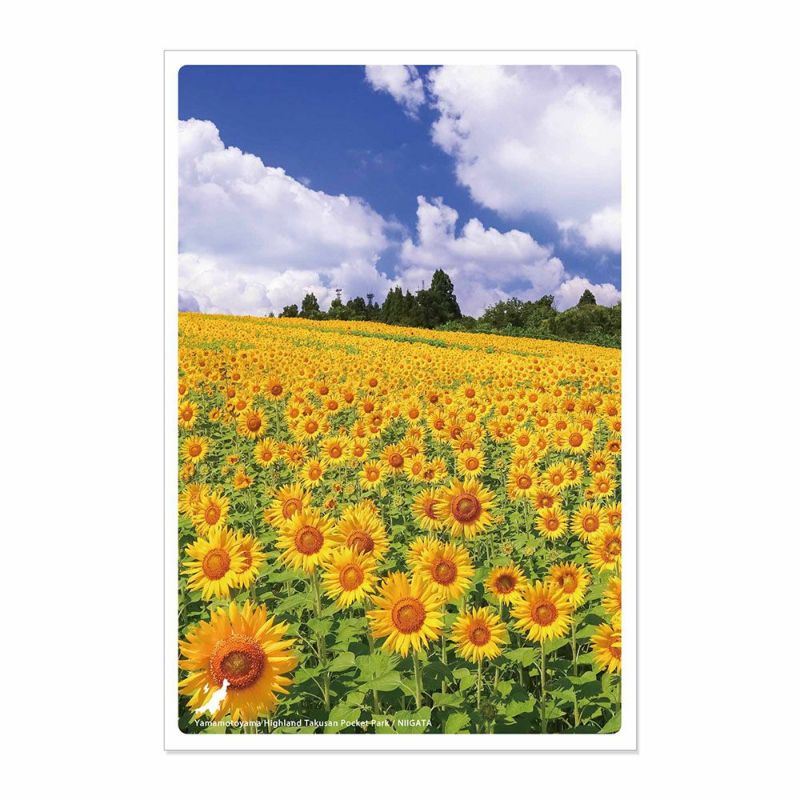 日本の絶景ポストカード ～夏～ 山本山高原 沢山ポケットパーク