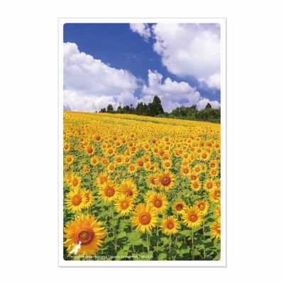 日本の絶景ポストカード ～夏～ 山本山高原 沢山ポケットパーク/新潟