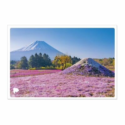 日本の絶景ポストカード ～春～ 富士芝桜まつり/山梨