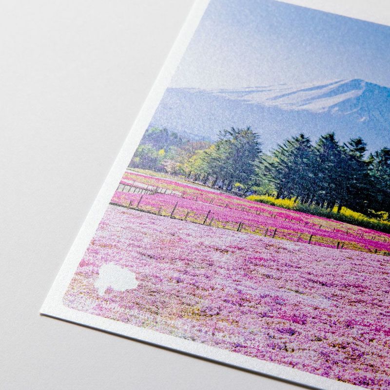 日本の絶景ポストカード ～春～ 富士芝桜まつり/山梨 | いろはショップ 