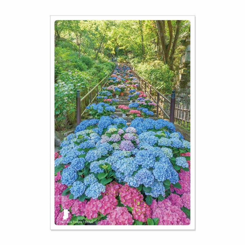 日本の絶景ポストカード ～春～ 長谷寺/奈良 | いろはショップ