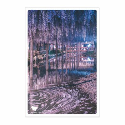 日本の絶景ポストカード ～春～ 天王川公園/愛知