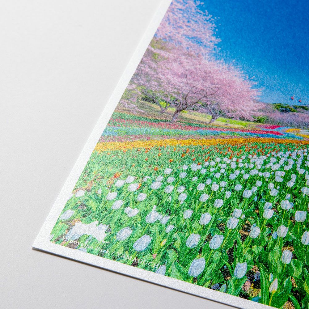新入荷 ポストカード日本の絶景 春 花博記念公園 鶴見緑地 風車の丘とチューリップ 大阪市 iroha