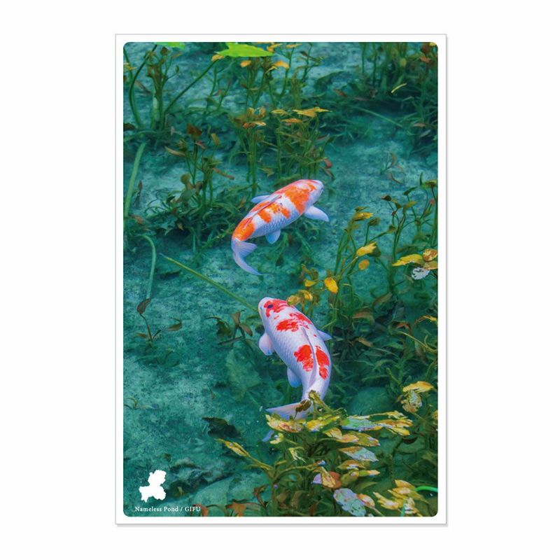 日本の絶景ポストカード ～夏～ 名もなき池/岐阜 | いろはショップオンライン