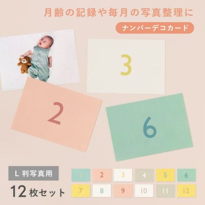 大容量アルバムシリーズ 【ナンバーデコカード】L判写真用