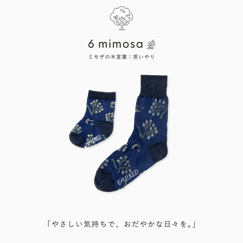 FAPIEDファミリーソックスセット（7-10cm,23-25cm,25-27cm）