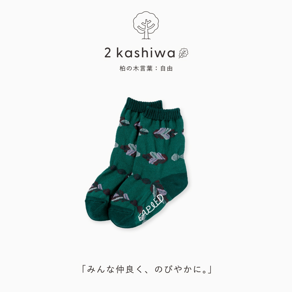 FAPIED_BABY&KIDS_ソックス7-18cm_L-FASK