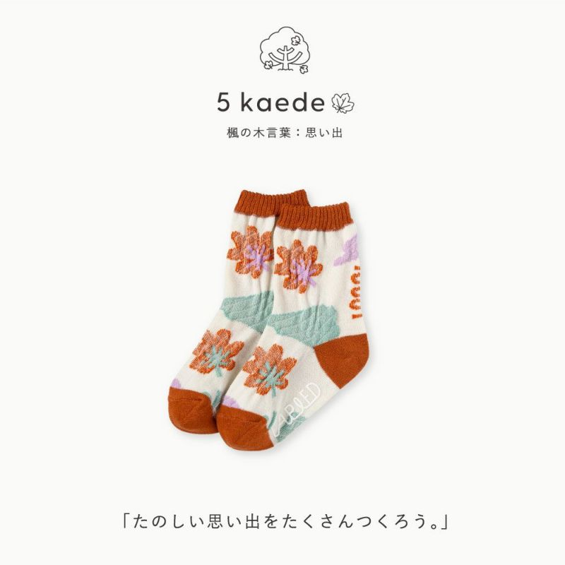 FAPIED_BABY&KIDS_ソックス7-18cm_L-FASK