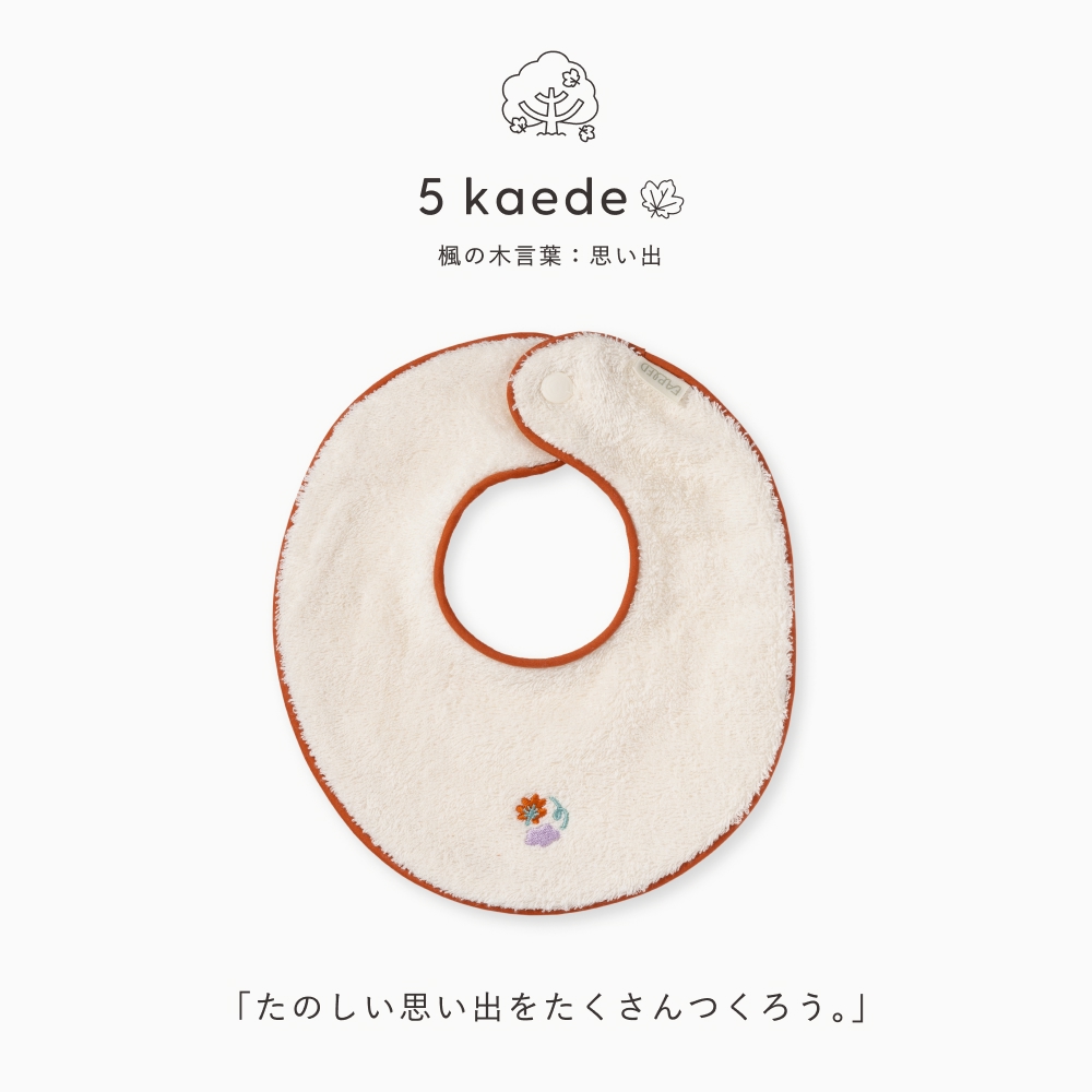 FAPIED_スタイ_L-FAST