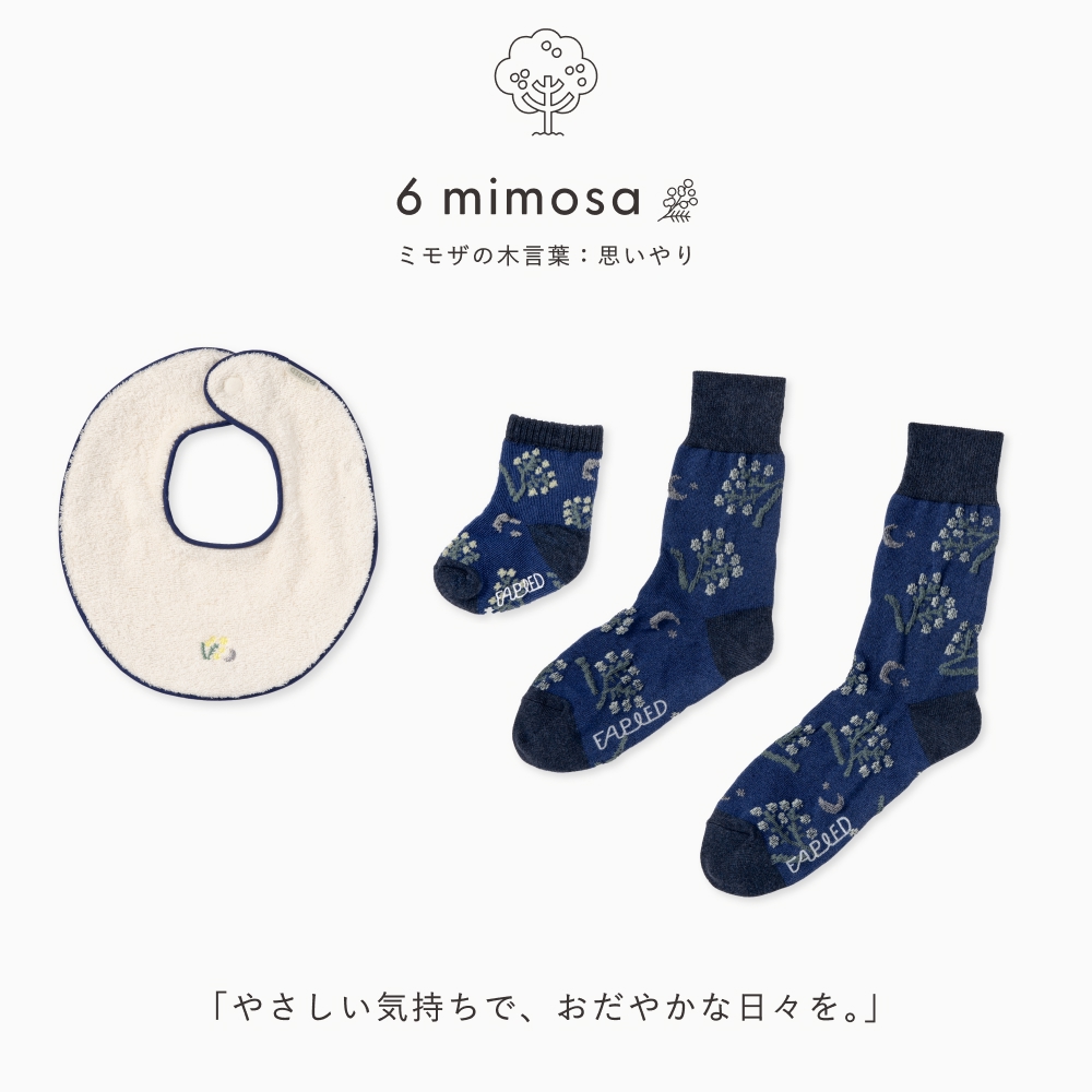 FAPIEDファミリーソックス+スタイセット（7-10cm,23-25cm,25-27cm）