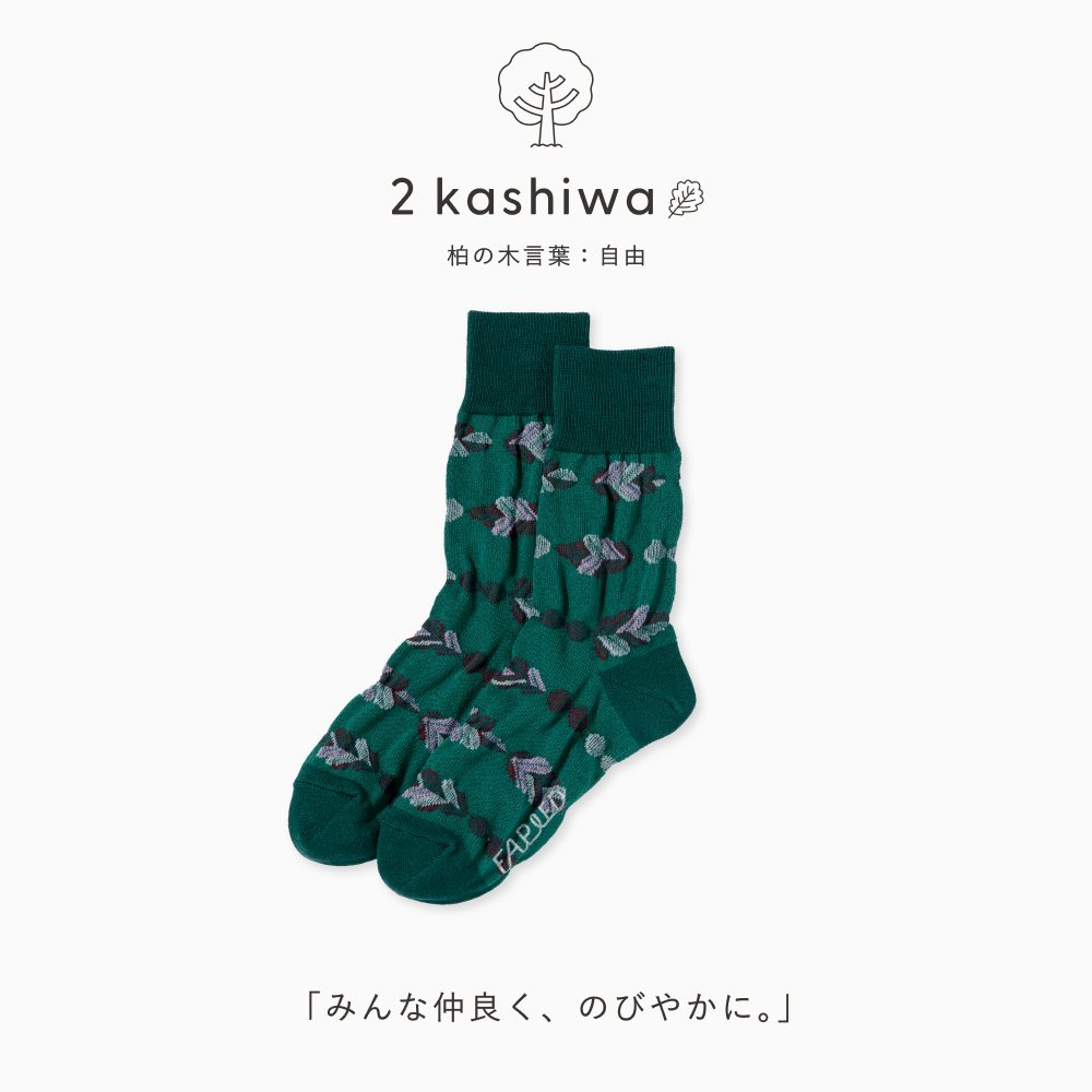 FAPIED_MEN'S&LADY'S_ソックス23-27cm_L-FASM_L-FASL