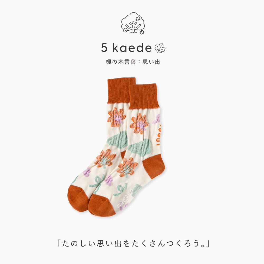 FAPIED_MEN'S&LADY'S_ソックス23-27cm_L-FASM_L-FASL