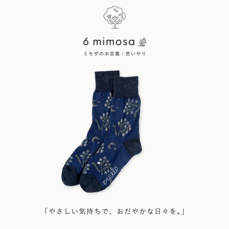 FAPIED_MEN'S&LADY'S_ソックス23-27cm_L-FASM_L-FASL